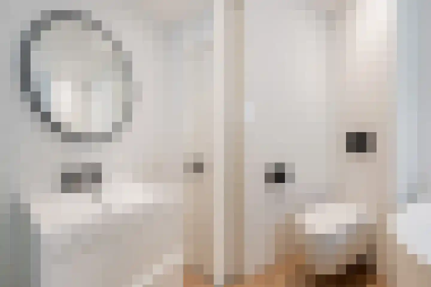 Meerkoet 42 Diemen thumbnail 31
