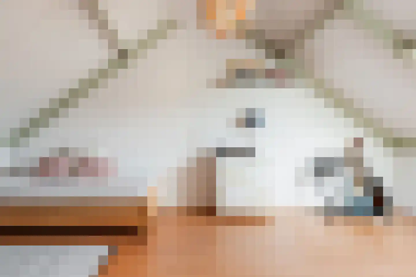 Meerkoet 42 Diemen thumbnail 35