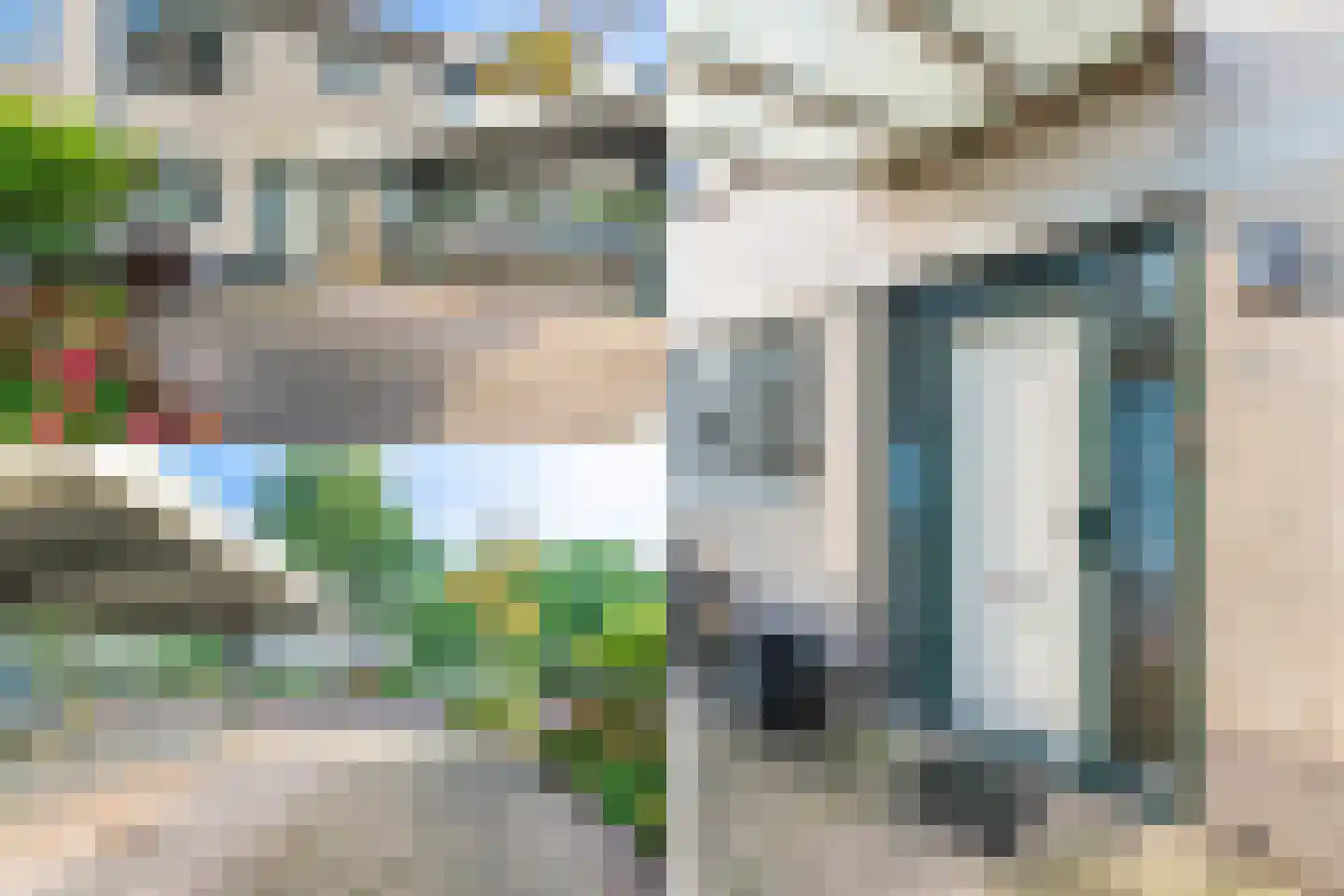 Meerkoet 42 Diemen thumbnail 39