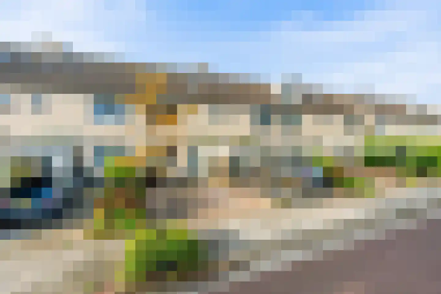 Meerkoet 42 Diemen thumbnail 41