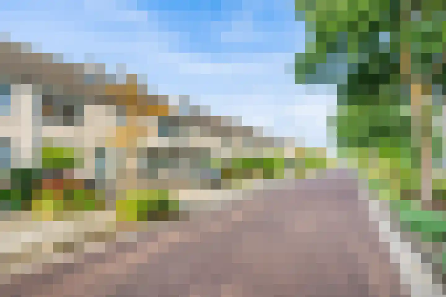Meerkoet 42 Diemen thumbnail 43