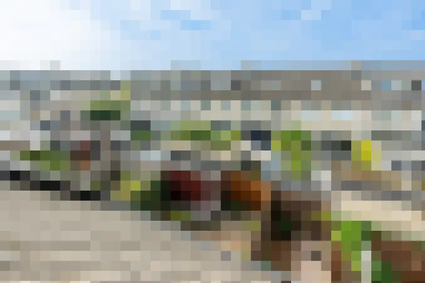 Meerkoet 42 Diemen thumbnail 44