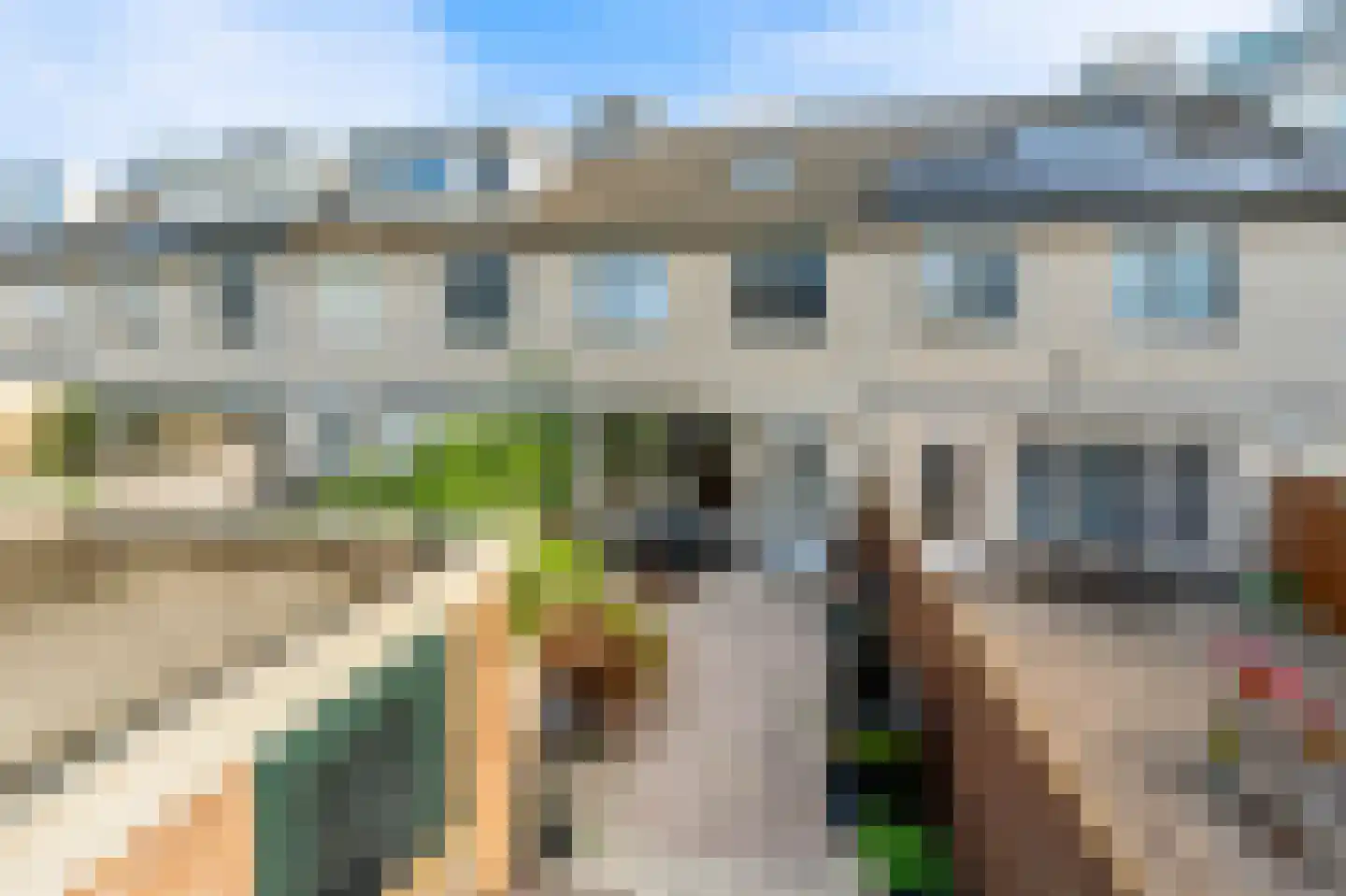 Meerkoet 42 Diemen thumbnail 45