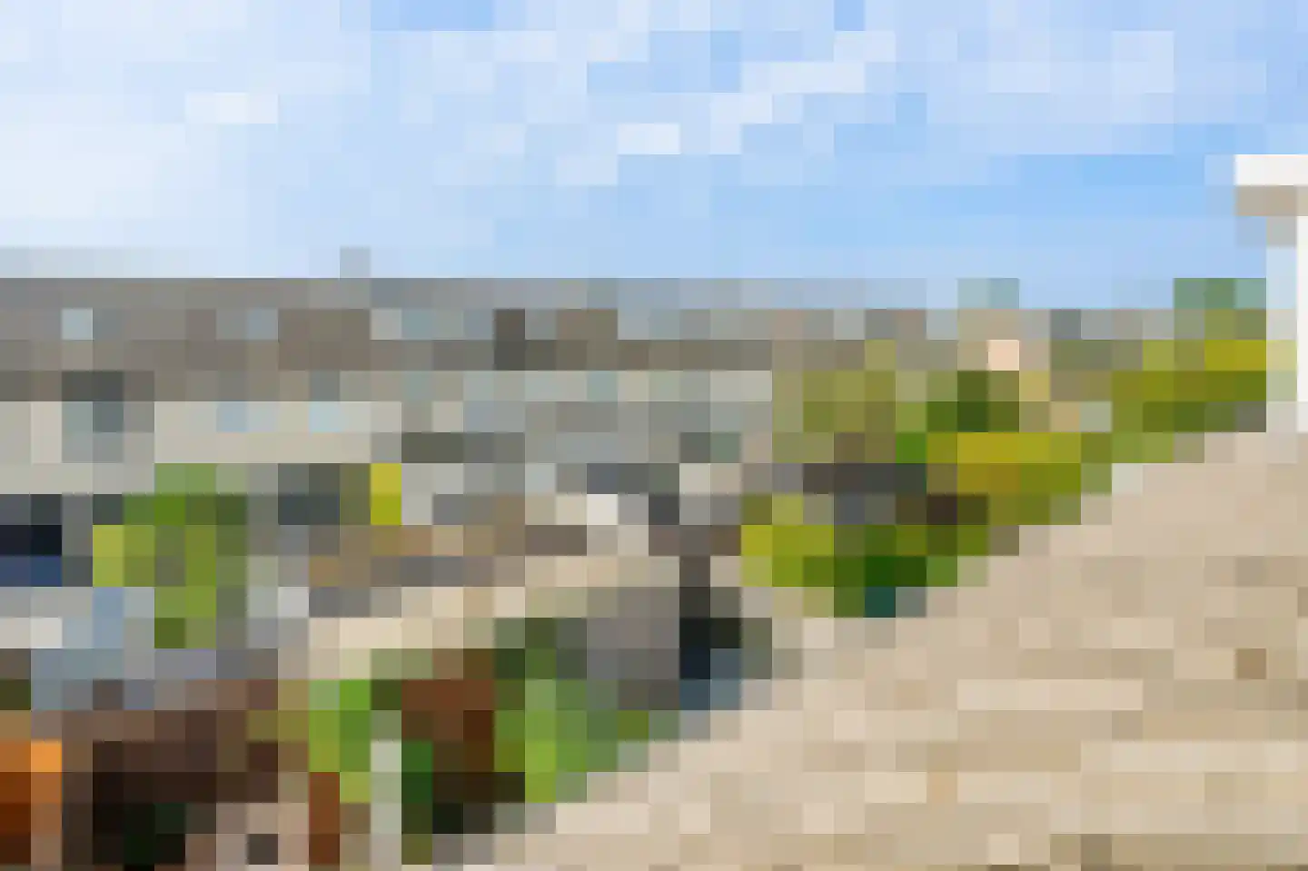 Meerkoet 42 Diemen thumbnail 46