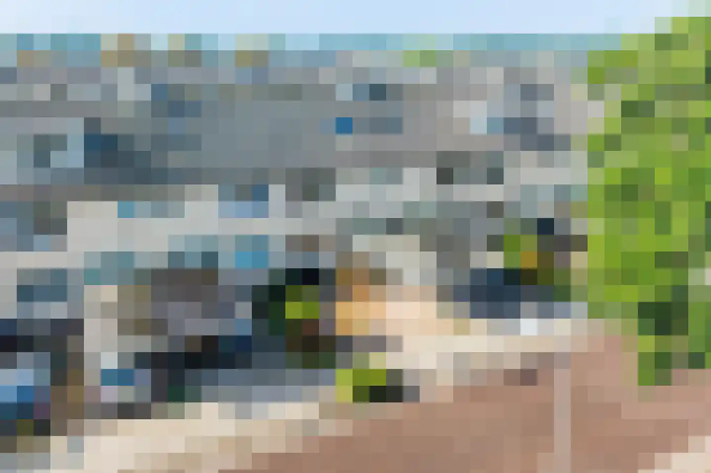 Meerkoet 42 Diemen thumbnail 47