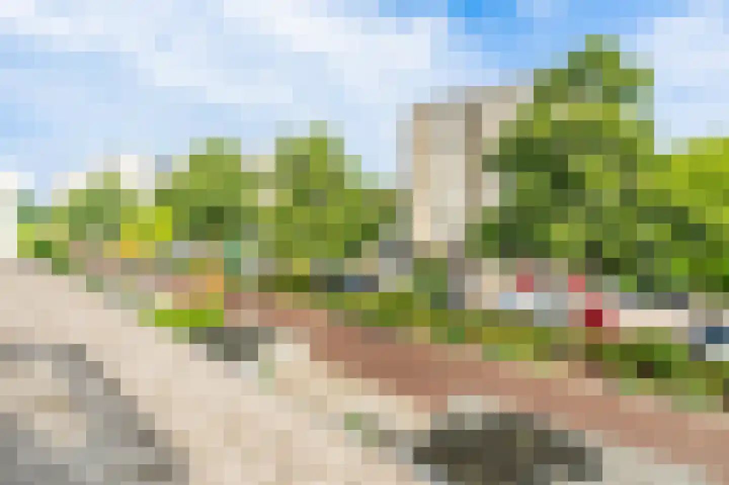Meerkoet 42 Diemen thumbnail 48