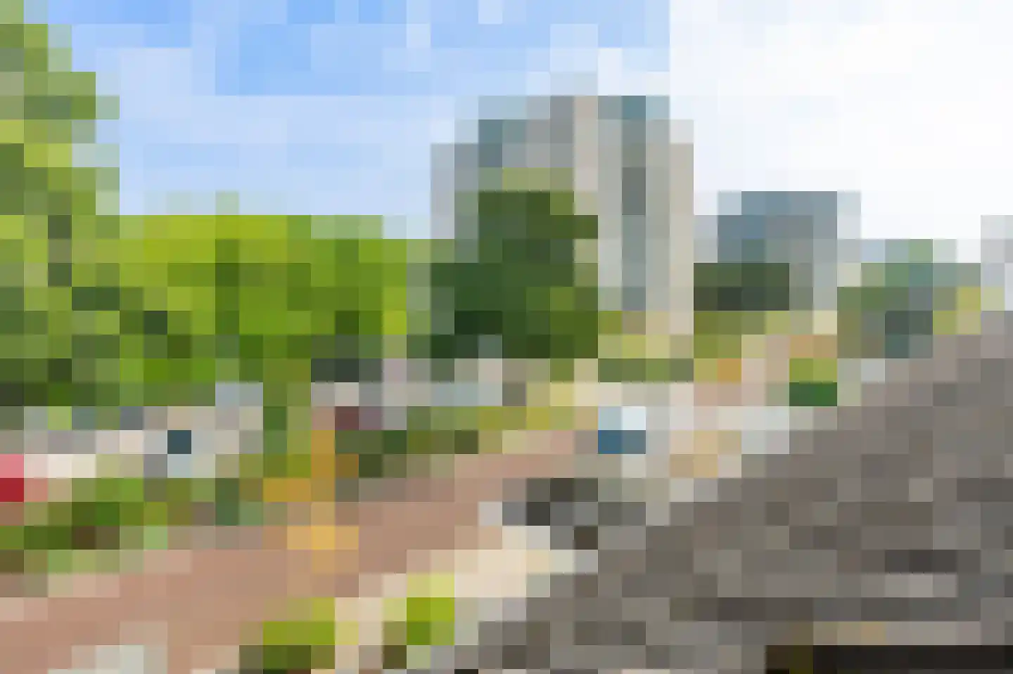 Meerkoet 42 Diemen thumbnail 49