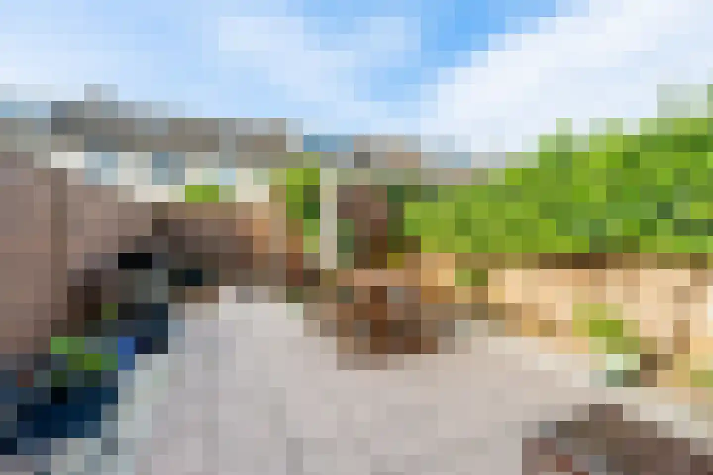 Meerkoet 42 Diemen thumbnail 5