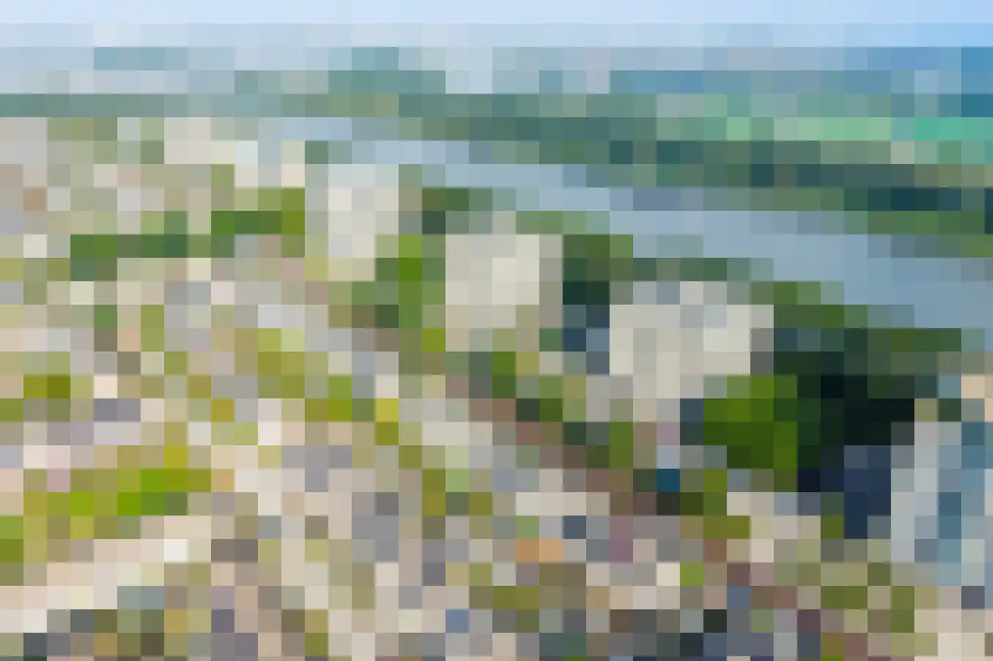 Meerkoet 42 Diemen thumbnail 50