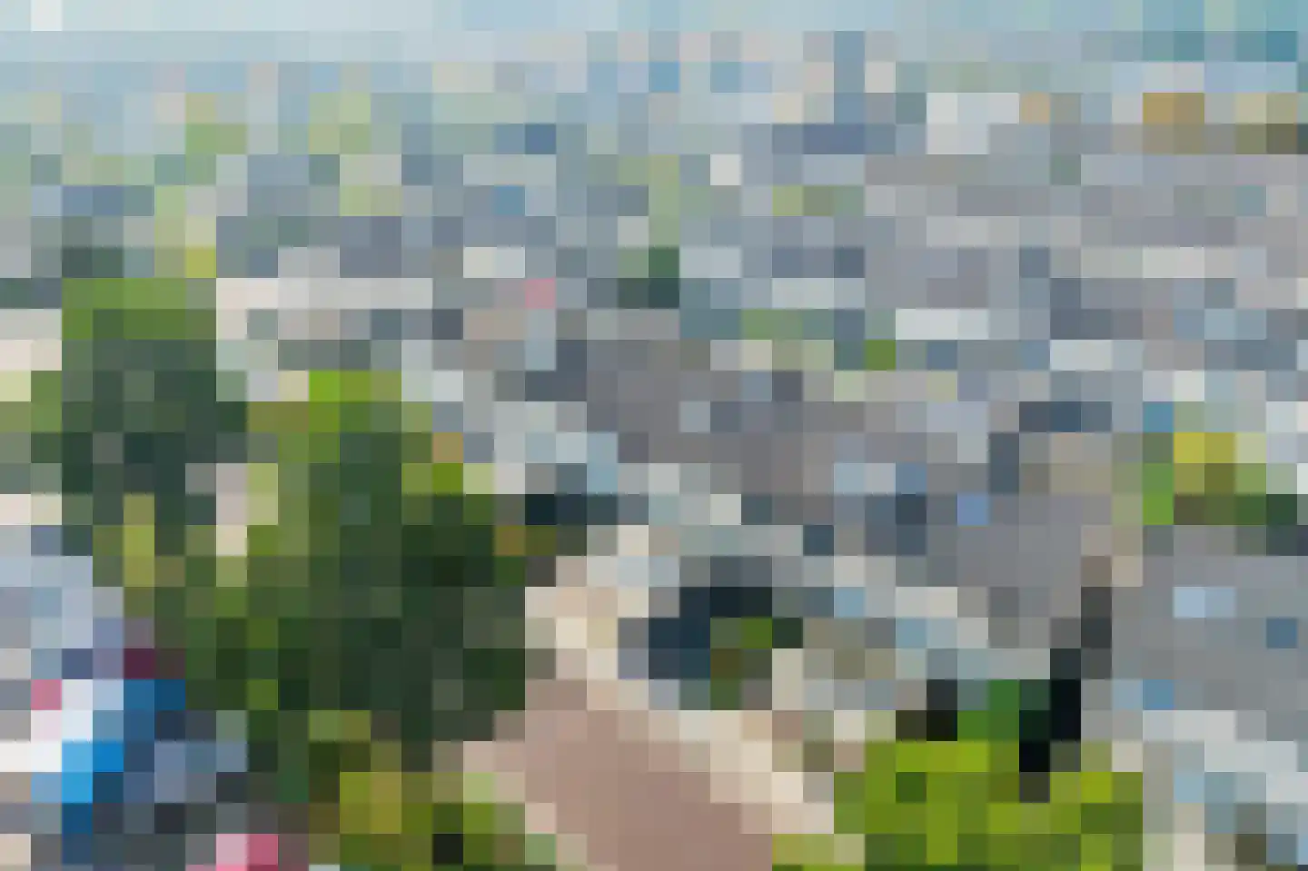 Meerkoet 42 Diemen thumbnail 52
