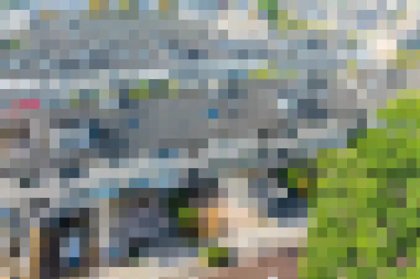 Meerkoet 42 Diemen thumbnail 53