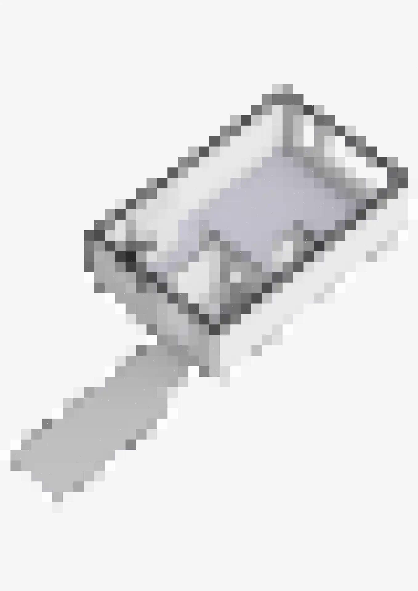 Meerkoet 42 Diemen thumbnail 63
