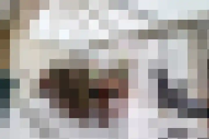 Meerkoet 42 Hoogvliet Rotterdam thumbnail 6