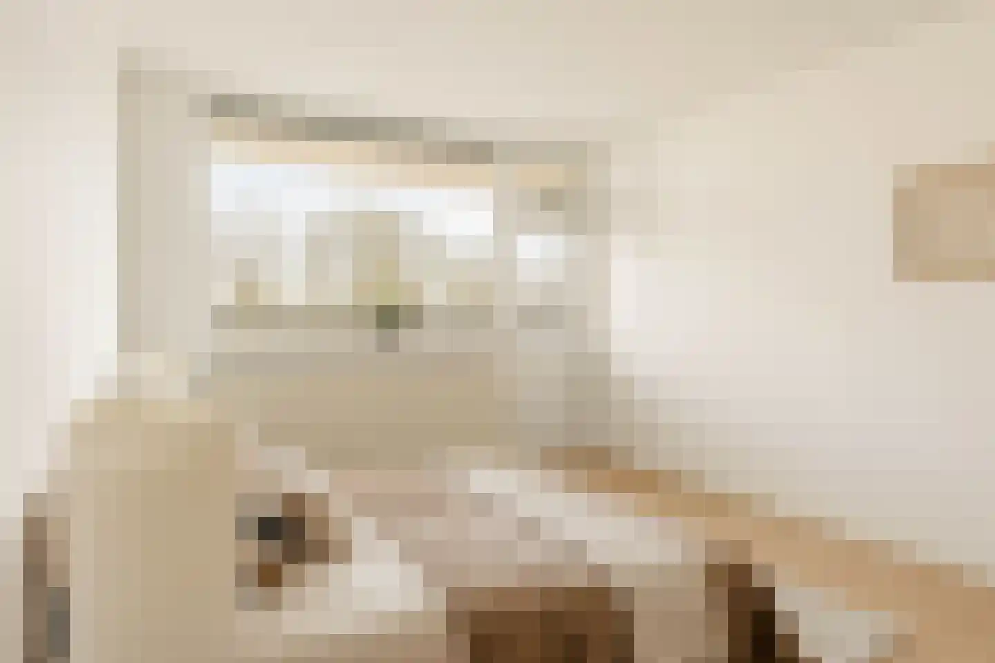 Meerkoet 45 Diemen thumbnail 21