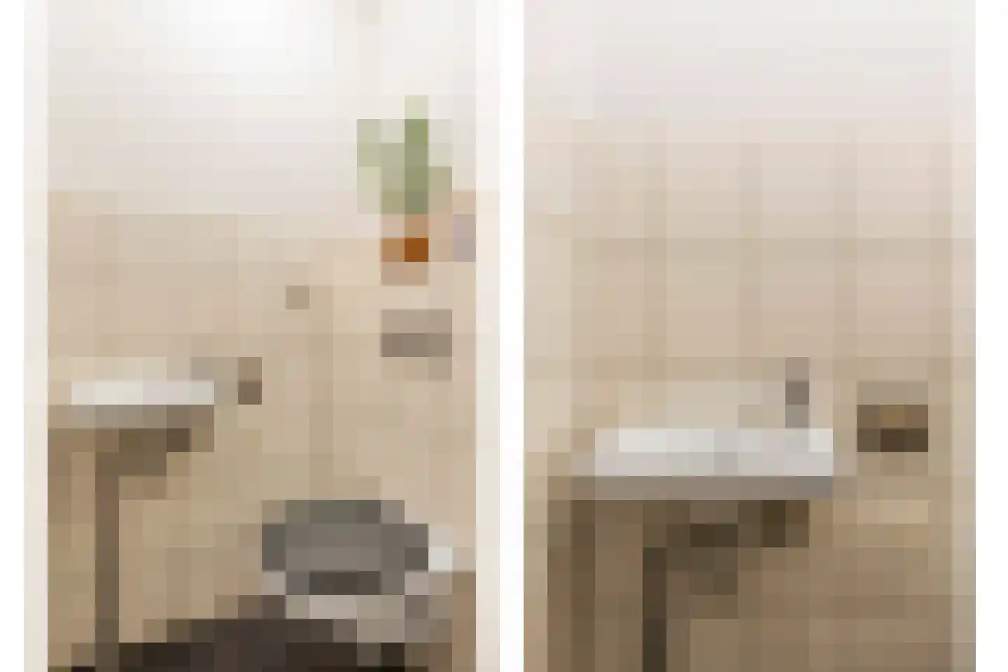 Meerkoet 45 Diemen thumbnail 25