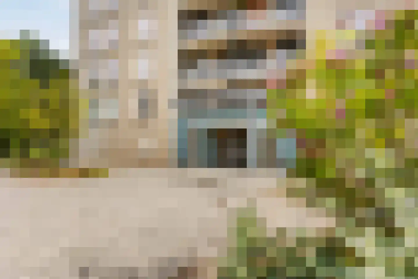 Meerkoet 45 Diemen thumbnail 28