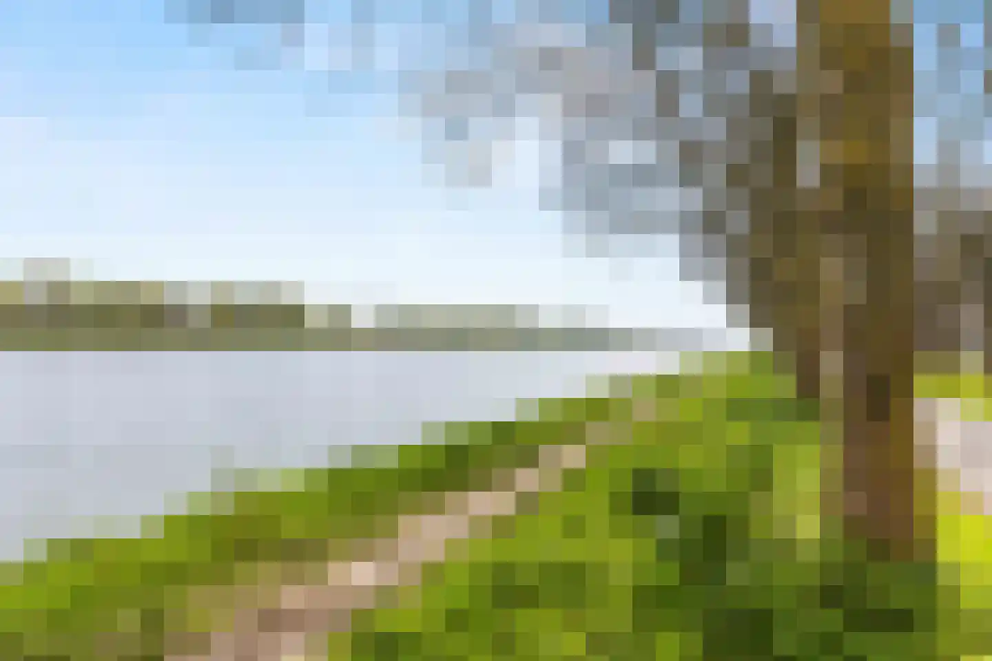 Meerkoet 45 Diemen thumbnail 30