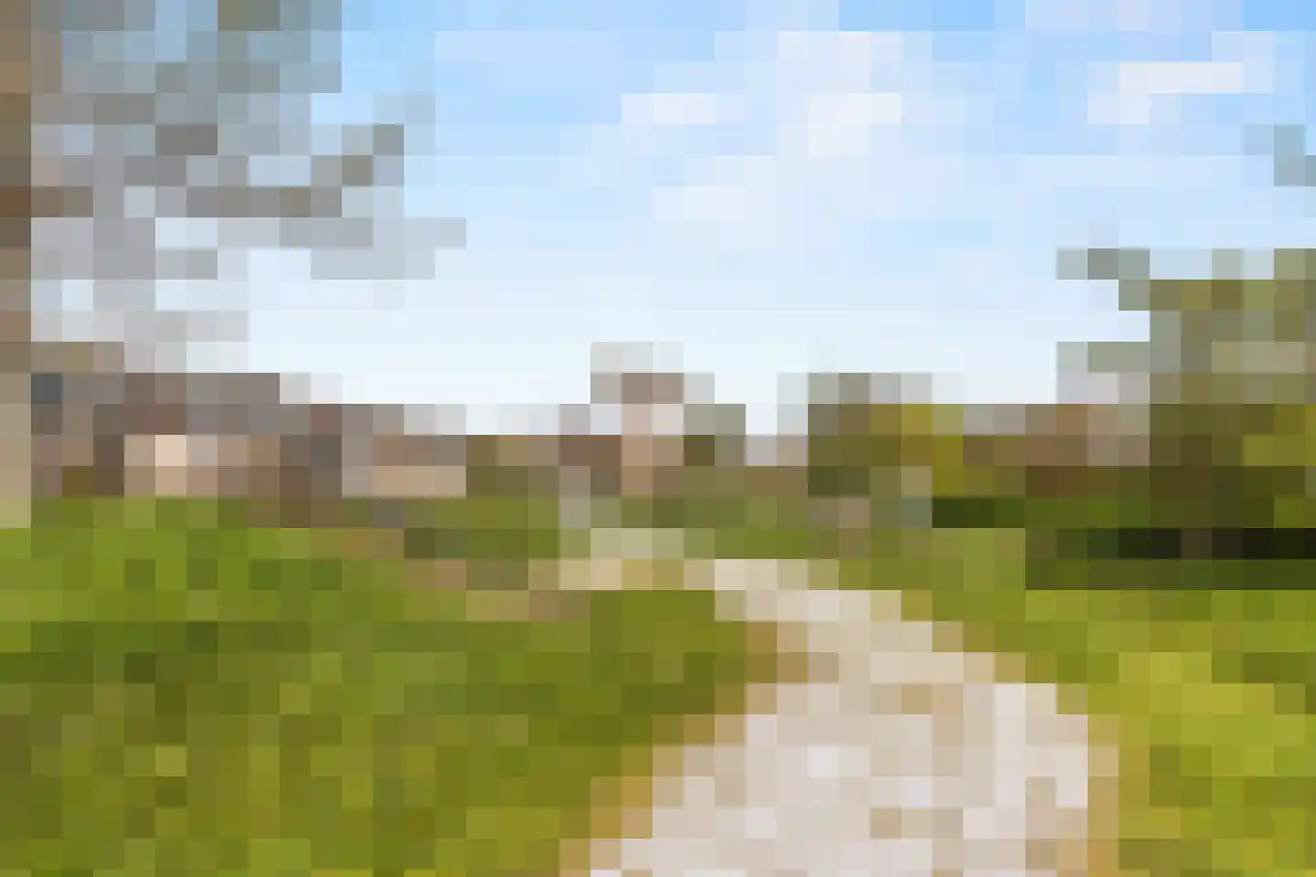 Meerkoet 45 Diemen thumbnail 31
