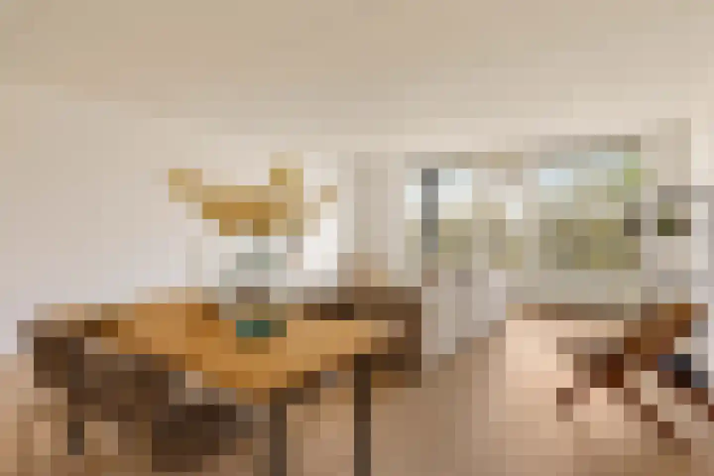 Meerkoet 45 Diemen thumbnail 4