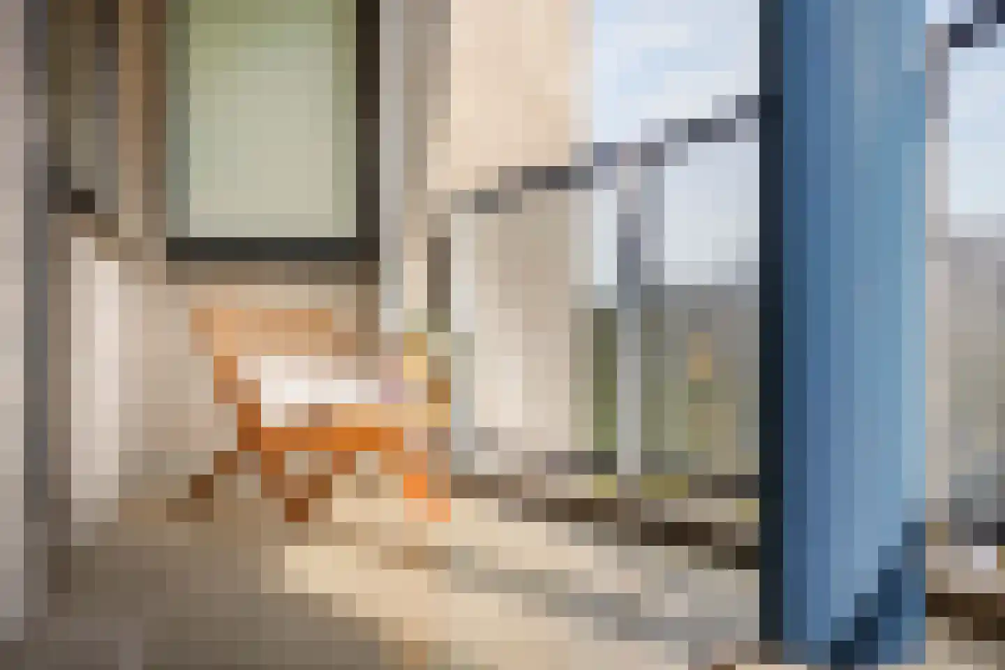 Meerkoet 45 Diemen thumbnail 5