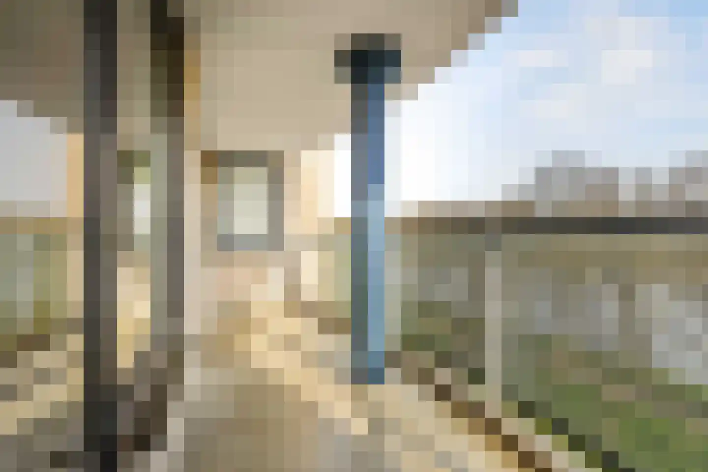 Meerkoet 45 Diemen thumbnail 6