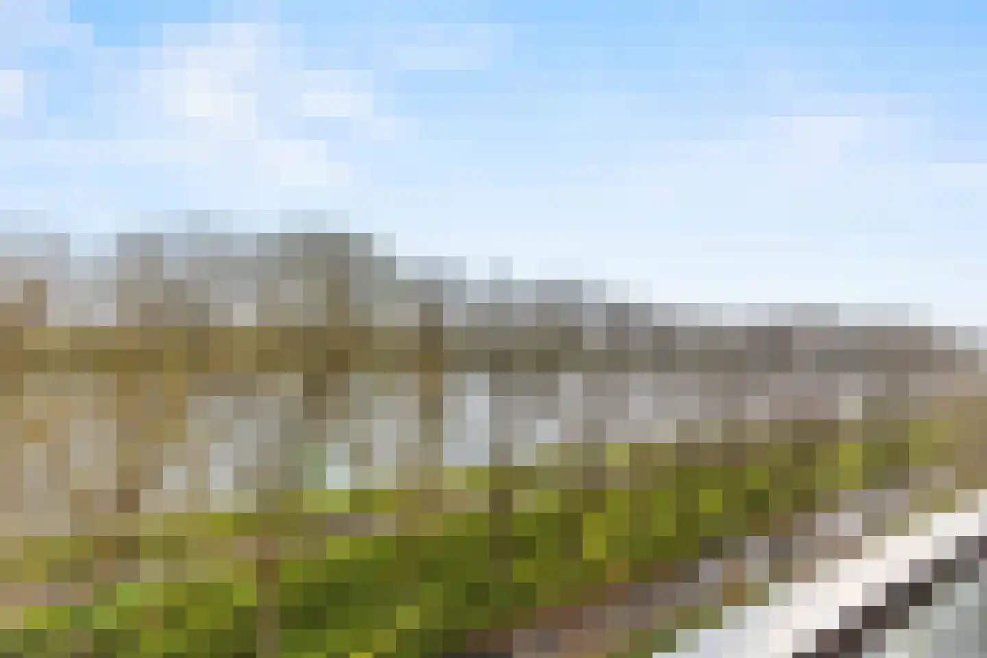 Meerkoet 45 Diemen thumbnail 7