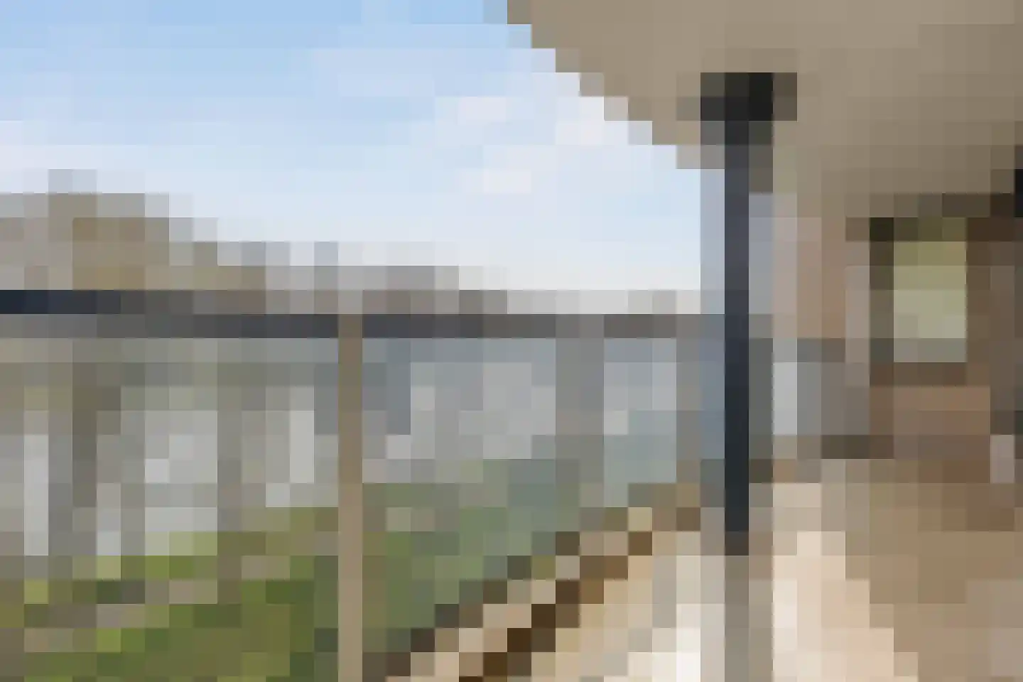 Meerkoet 45 Diemen thumbnail 8