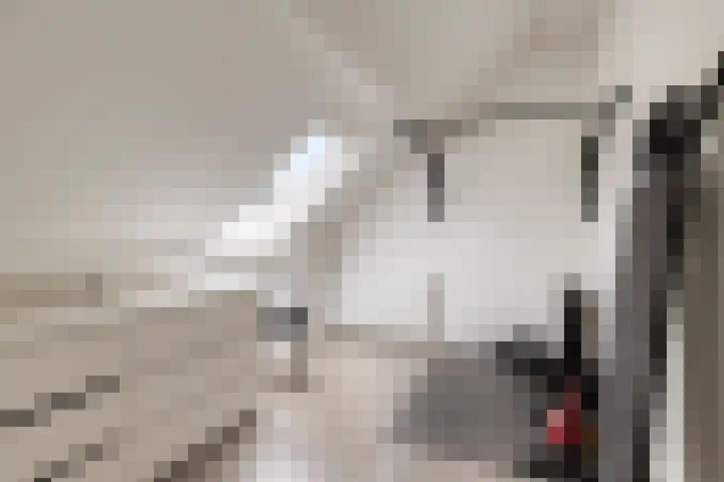 Meerkoet 45 Hoogvliet Rotterdam thumbnail 31