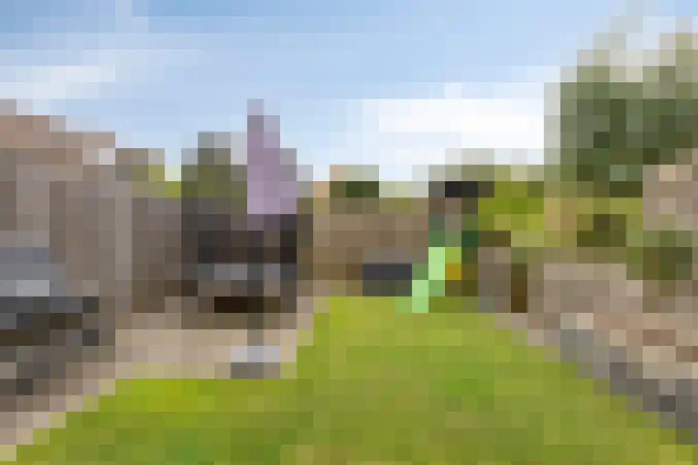 Meerkoet 45 Hoogvliet Rotterdam thumbnail 33