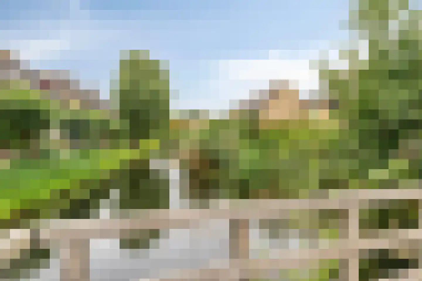 Meerkoet 45 Hoogvliet Rotterdam thumbnail 34