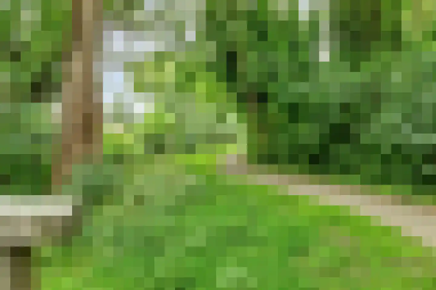 Meerkoet 45 Hoogvliet Rotterdam thumbnail 35