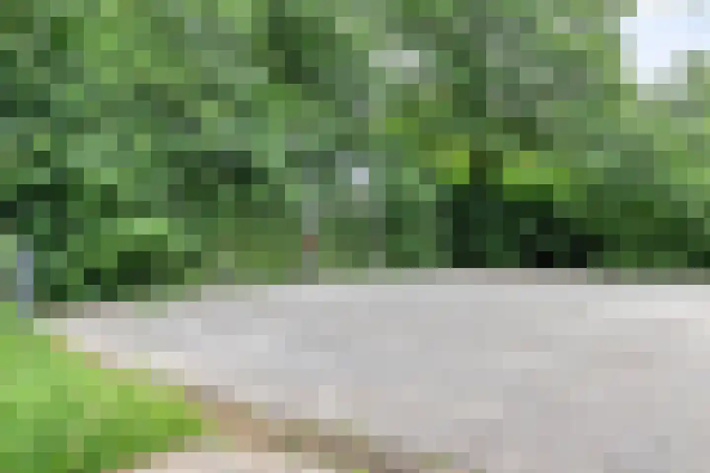 Meerkoet 45 Hoogvliet Rotterdam thumbnail 36