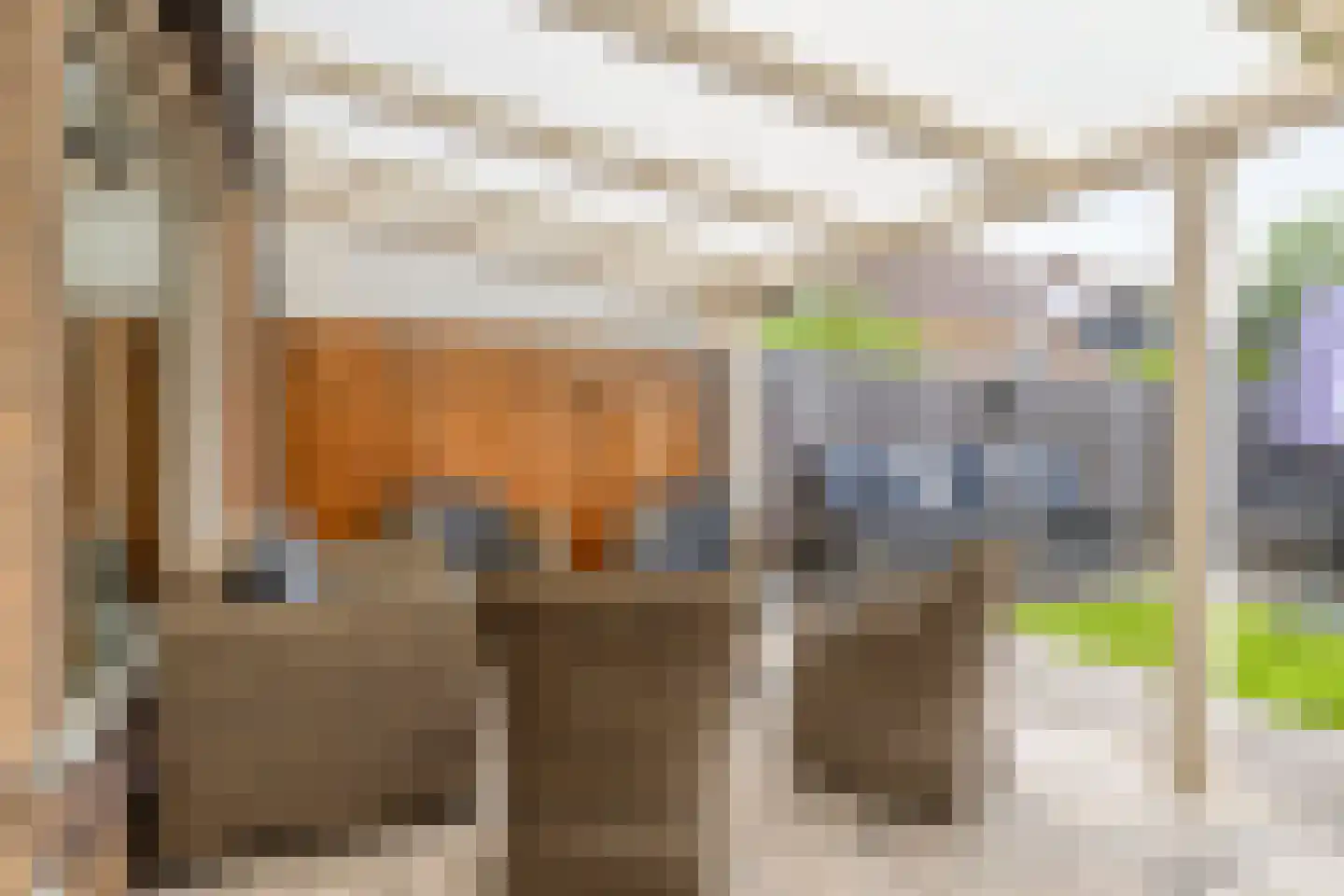 Meerkoet 45 Hoogvliet Rotterdam thumbnail 7