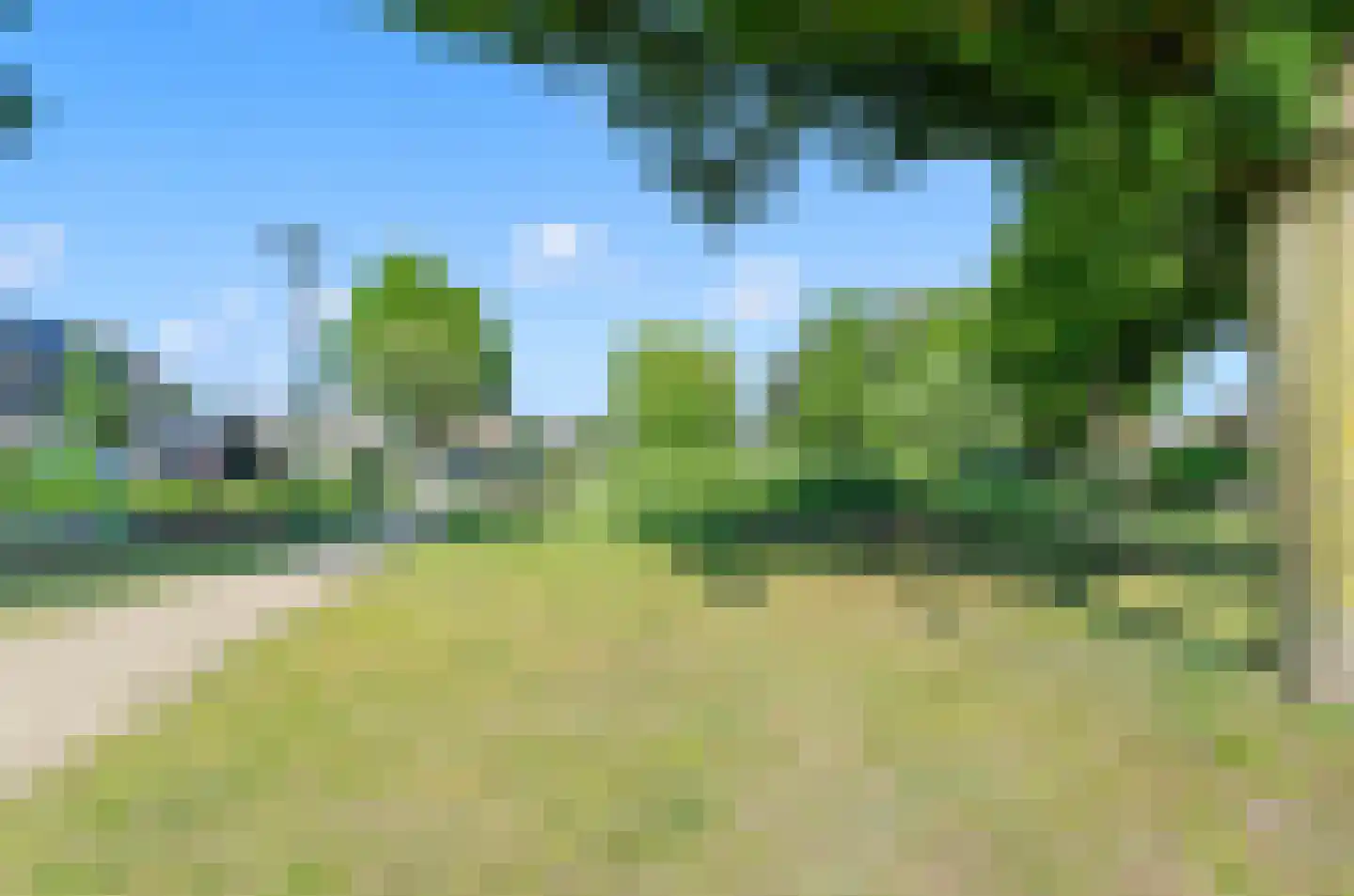 Meerkoet 46 Bunschoten-Spakenburg thumbnail 58