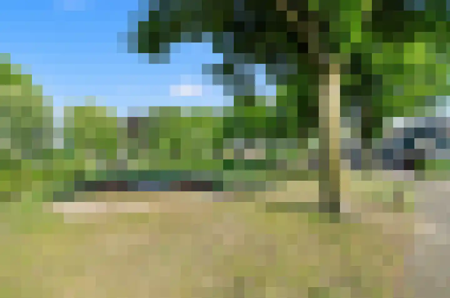 Meerkoet 46 Bunschoten-Spakenburg thumbnail 59