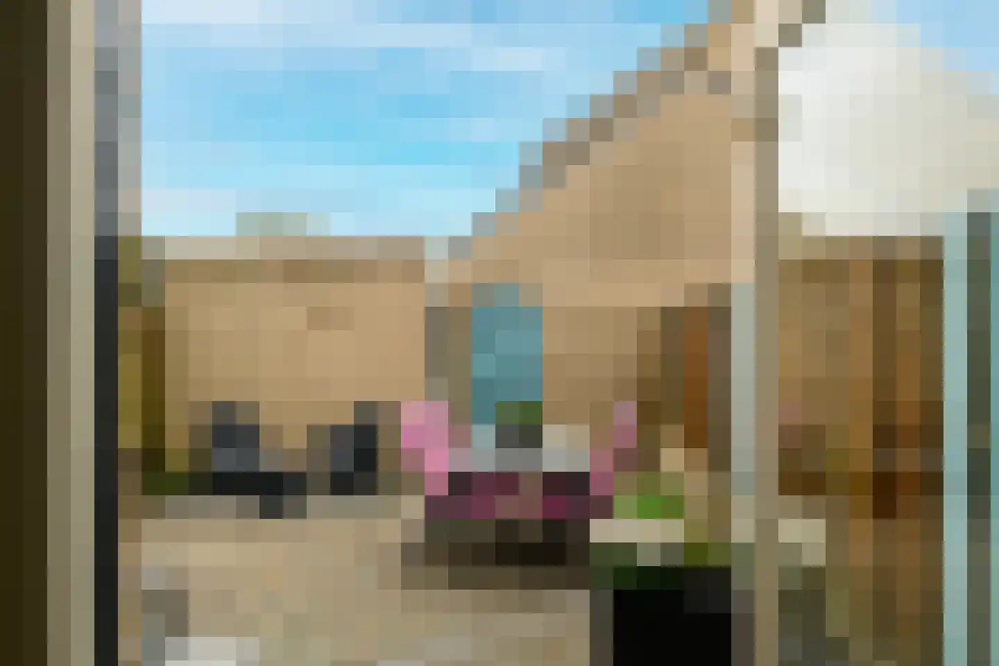 Meerkoet 46 's-Gravenzande thumbnail 14