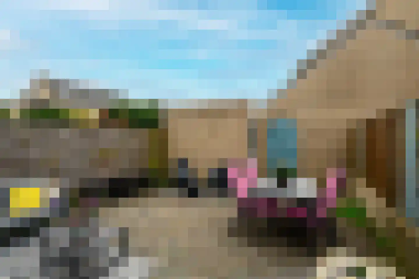 Meerkoet 46 's-Gravenzande thumbnail 15