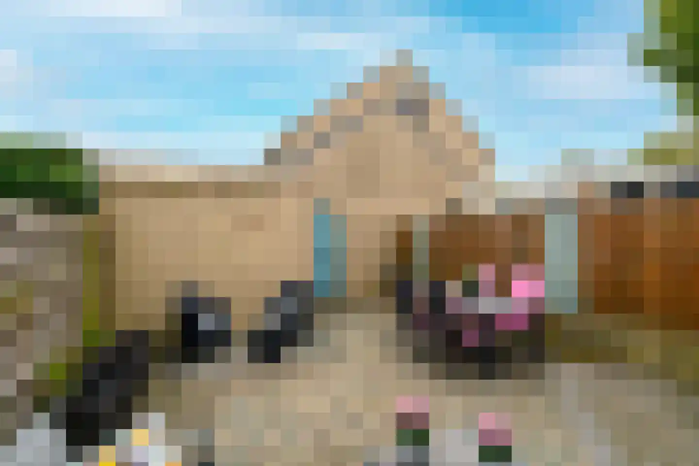 Meerkoet 46 's-Gravenzande thumbnail 16