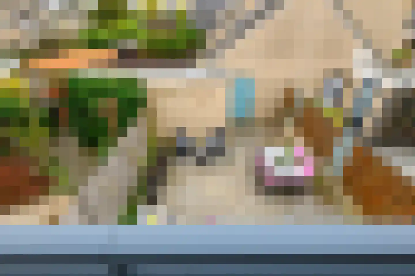 Meerkoet 46 's-Gravenzande thumbnail 24