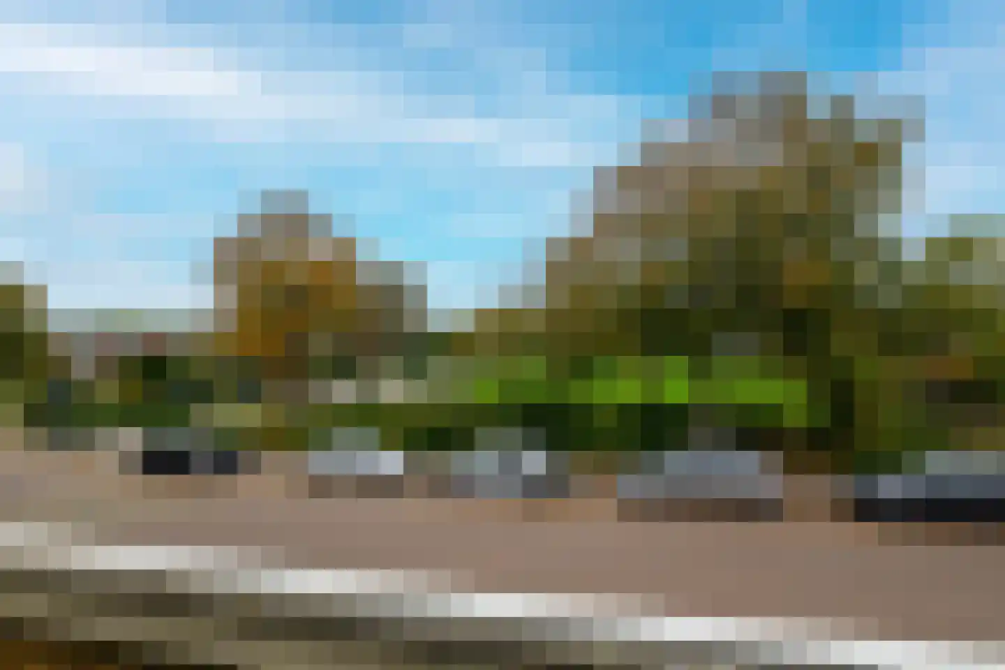 Meerkoet 46 's-Gravenzande thumbnail 34