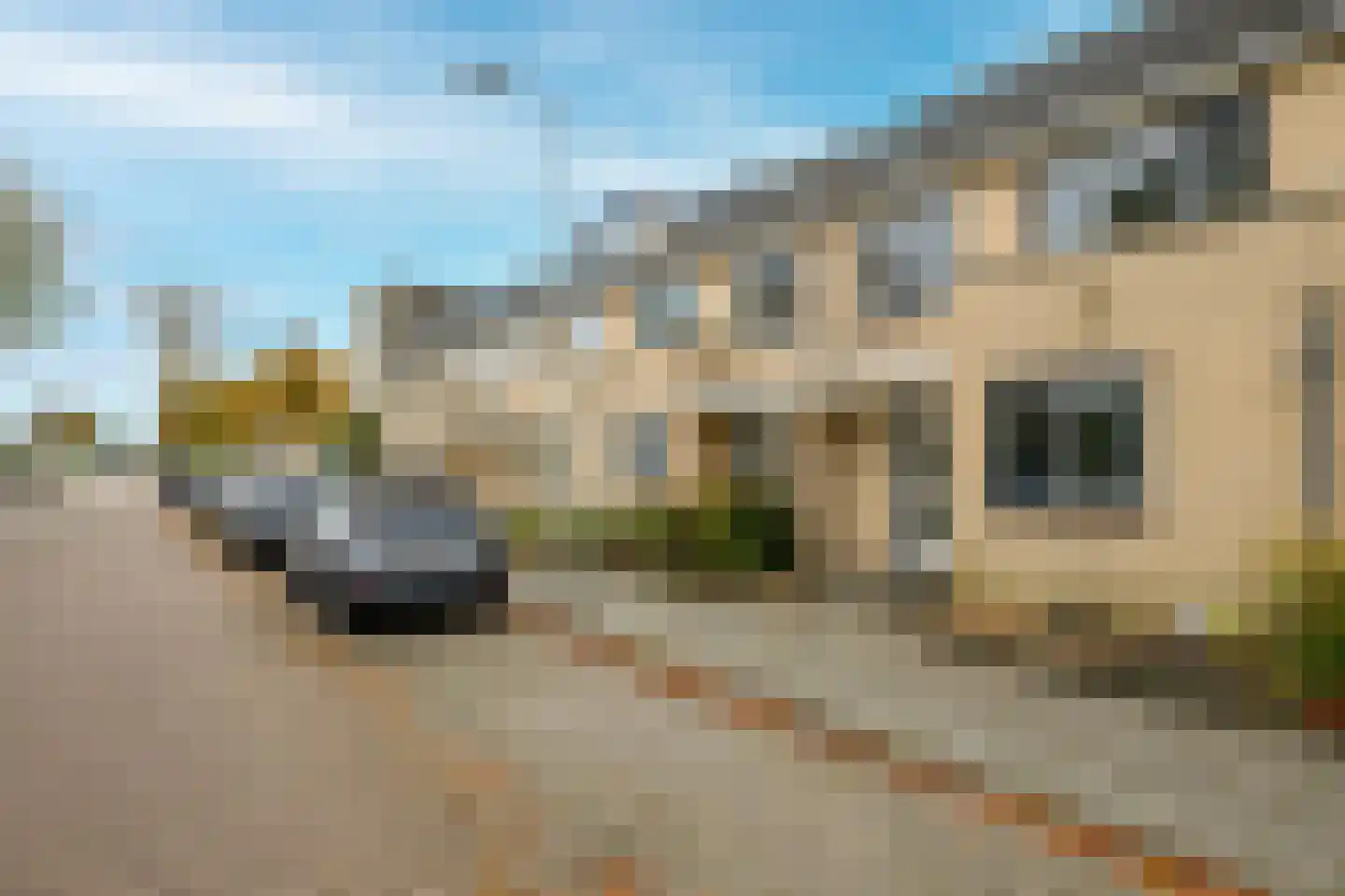 Meerkoet 46 's-Gravenzande thumbnail 35