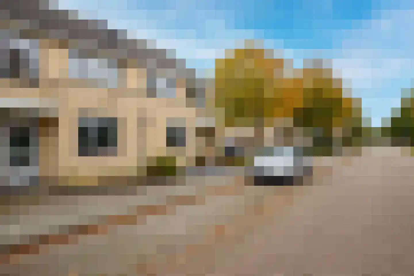 Meerkoet 46 's-Gravenzande thumbnail 36