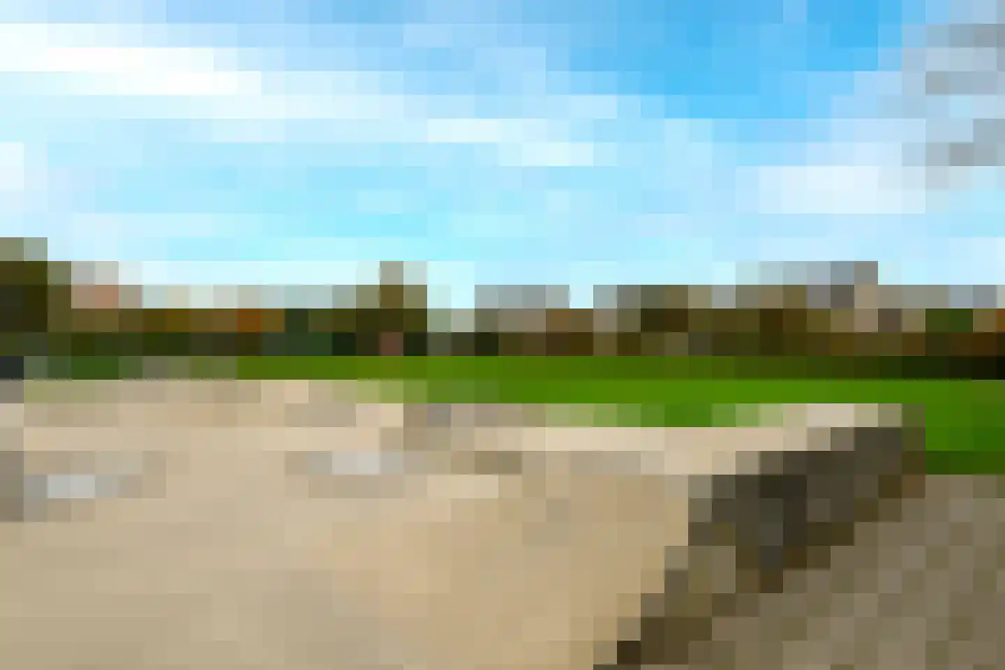 Meerkoet 46 's-Gravenzande thumbnail 37