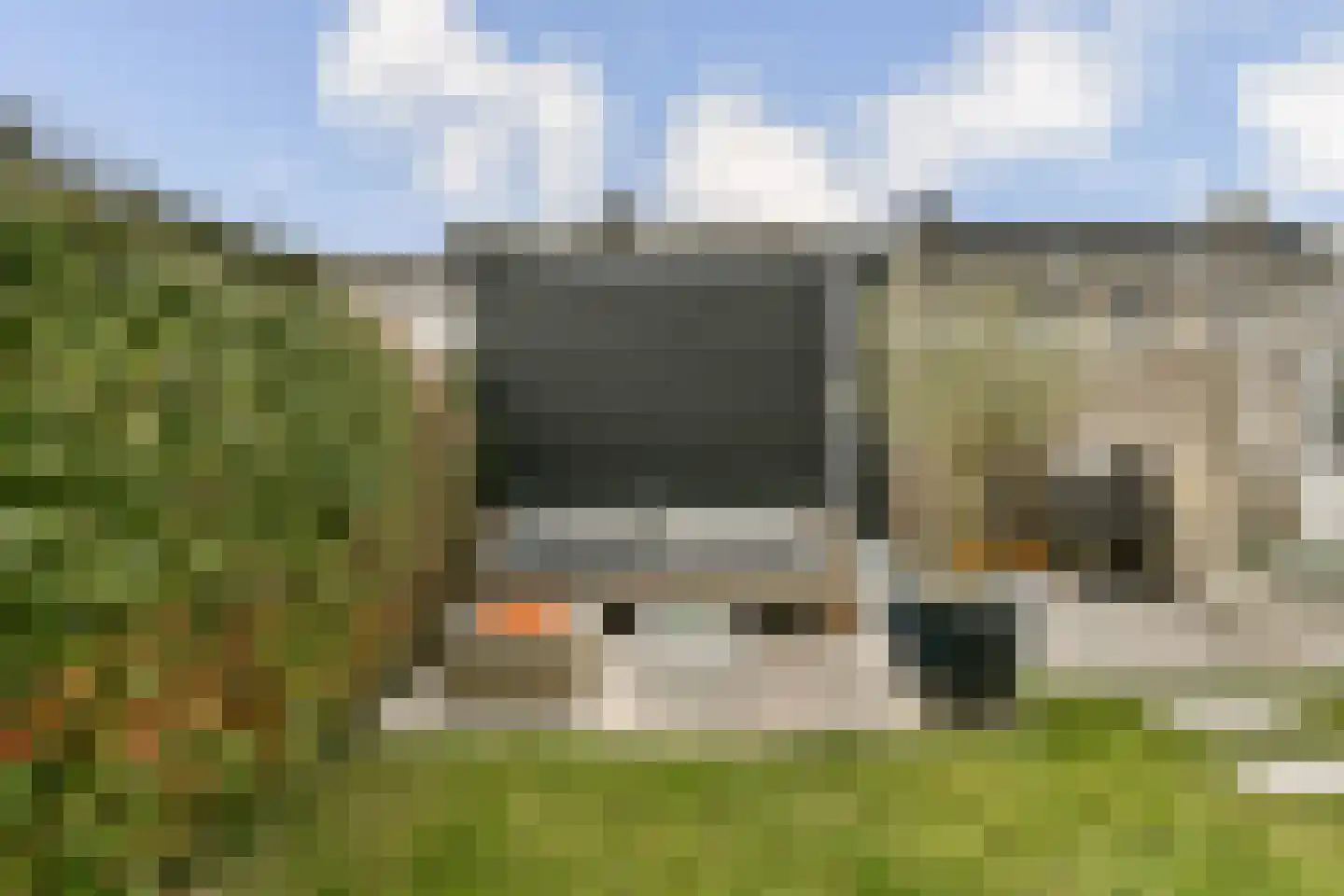 Meerkoet 48 Diemen thumbnail 10