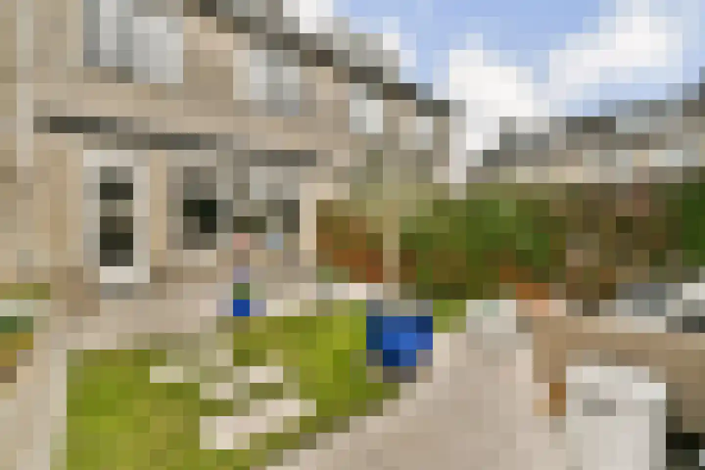 Meerkoet 48 Diemen thumbnail 11