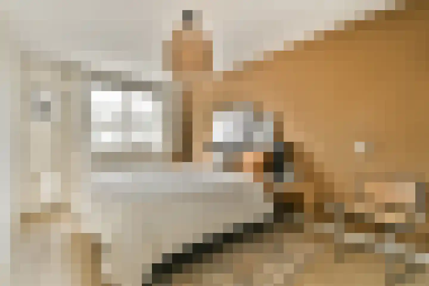 Meerkoet 48 Diemen thumbnail 13