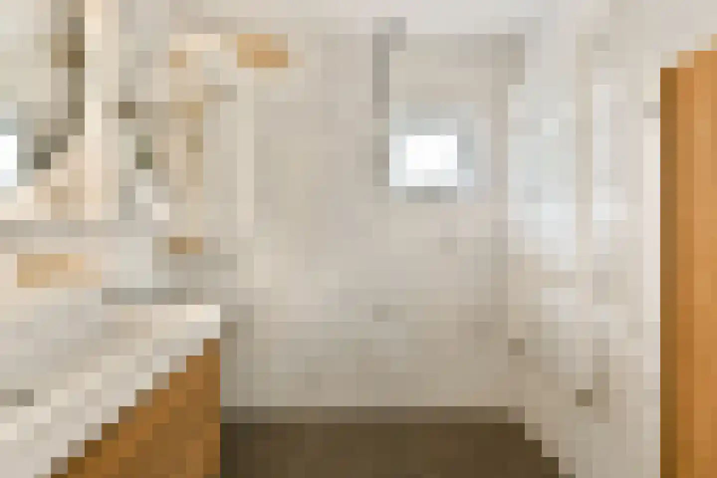 Meerkoet 48 Diemen thumbnail 15