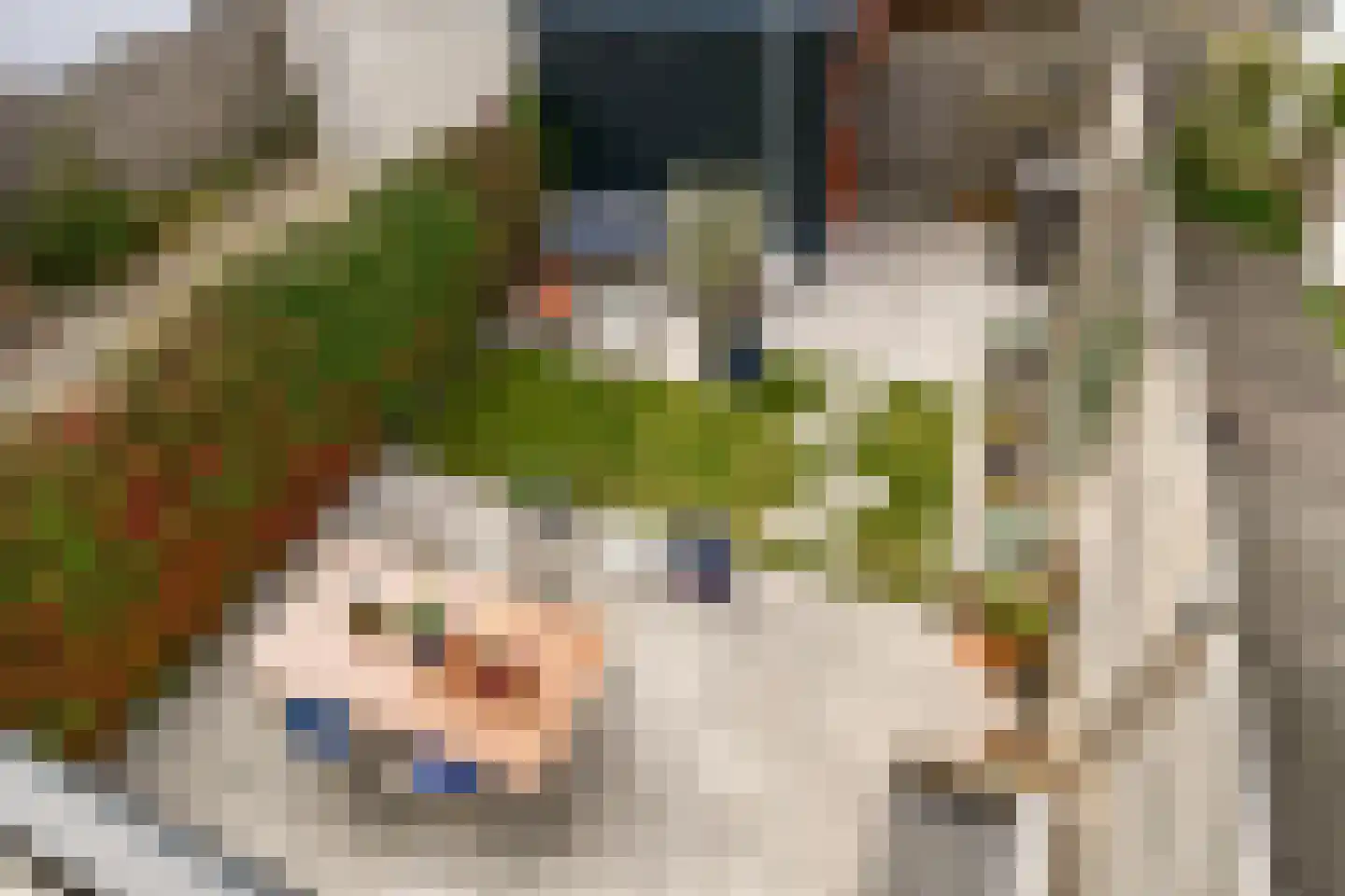 Meerkoet 48 Diemen thumbnail 21