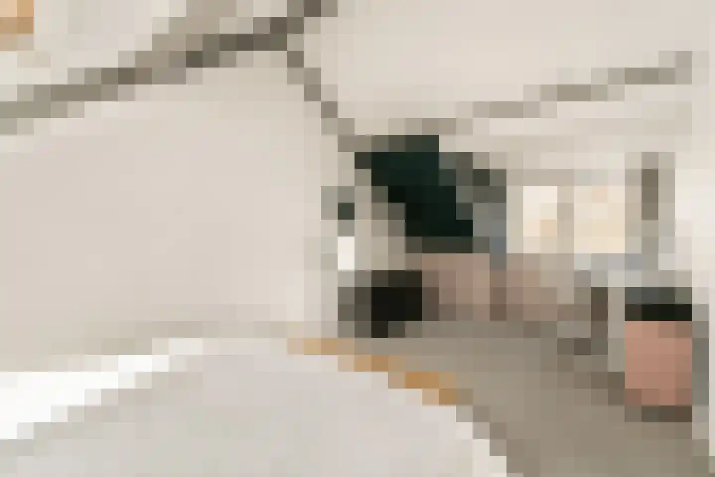 Meerkoet 48 Diemen thumbnail 24