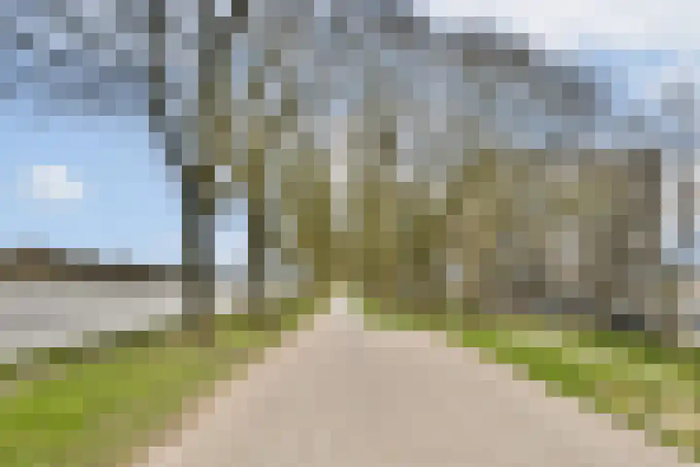 Meerkoet 48 Diemen thumbnail 27